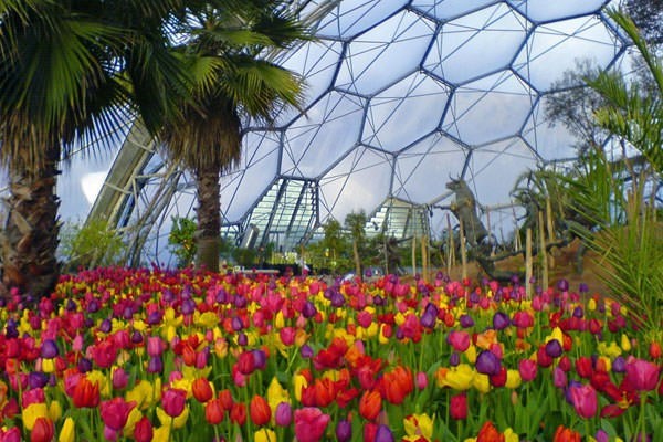 Image of Family Entrance to The Eden Project