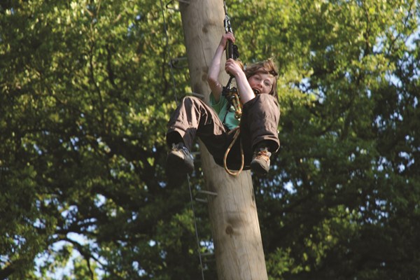 Picture of Adult High Ropes Adventure, Norfolk