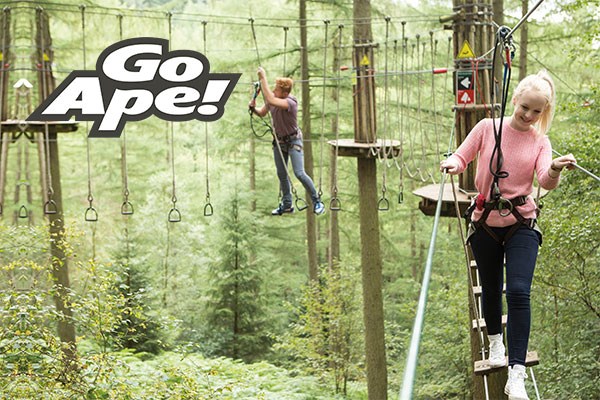 Picture of Tree Top Challenge for Two Adults at Go Ape