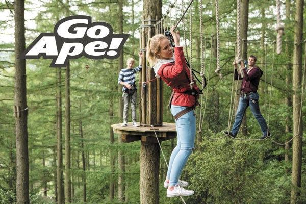 Image of Tree Top Adventure for One Adult and Two Children at Go Ape