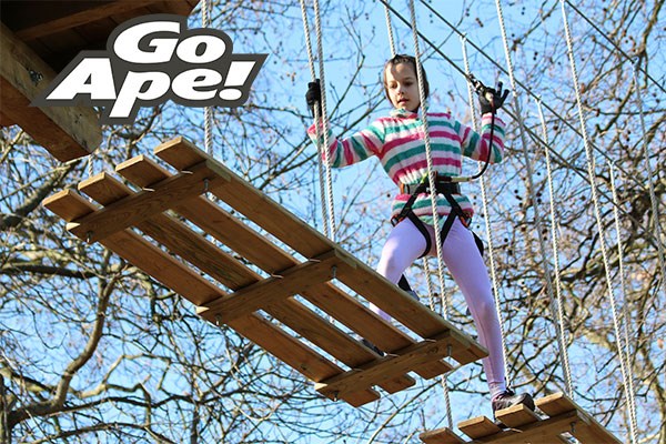 Picture of Junior Tree Top Adventure for One Child at Go Ape