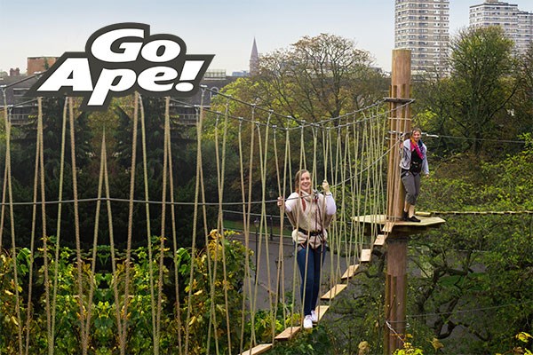 Picture of Tree Top Challenge in London for One at Go Ape