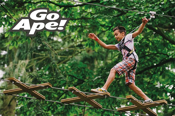 Image of Junior Tree Top Adventure for One at Go Ape