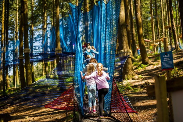 Picture of Treetop Nets Adventure for One Adult