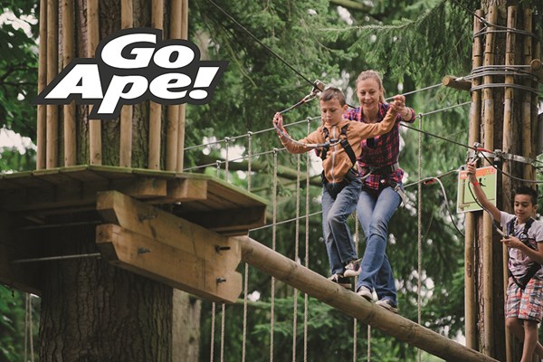 Picture of Tree Top Adventure in London for One Adult and One Child