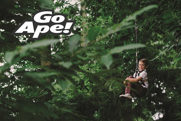 Picture of Junior Tree Top Adventure in London for One Child