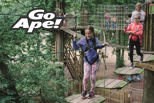 Picture of Junior Tree Top Adventure in London for Two Children