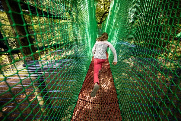 Picture of Zip Trek and Treetop Nets for Two at Treetop Trek