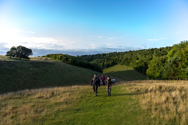 Picture of Ramble in The South Downs with a Cream Tea for Two
