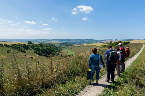 Image of Whole Day South Downs Walking Adventure and Pub Lunch with a Glass of Wine for One