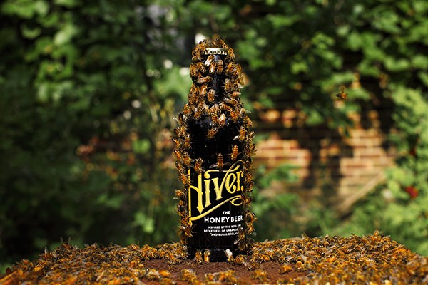 Beer Tasting Experience for Two at Hiver Beers