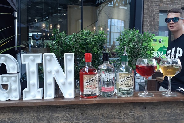 Image of Award Winning Micro Distillers Gin Tasting for Two at Artisan Drinks