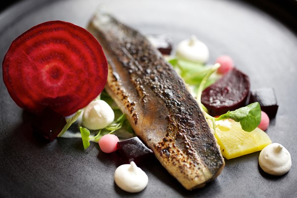 Image of Seven Course Tasting Menu with a Glass of Prosecco for Two at Marwell Hotel