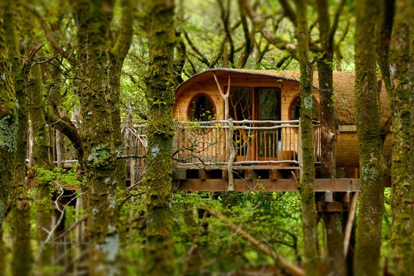 Picture of Two Night Treehouse Escape for Two