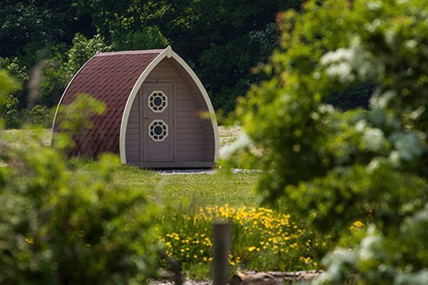 Image of One Night Glamping at Stanley Villa Farm Camping