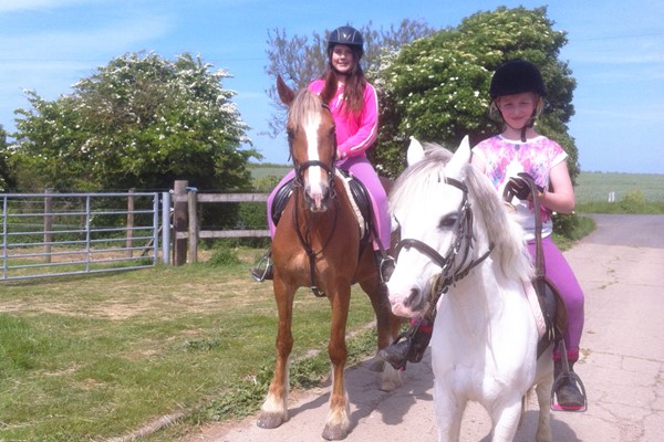 Picture of Horseriding Experience for Two at Plum Pudding Equestrian Centre