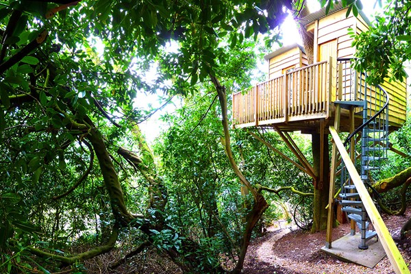 Image of Two Night Stay in The Nest Tree House