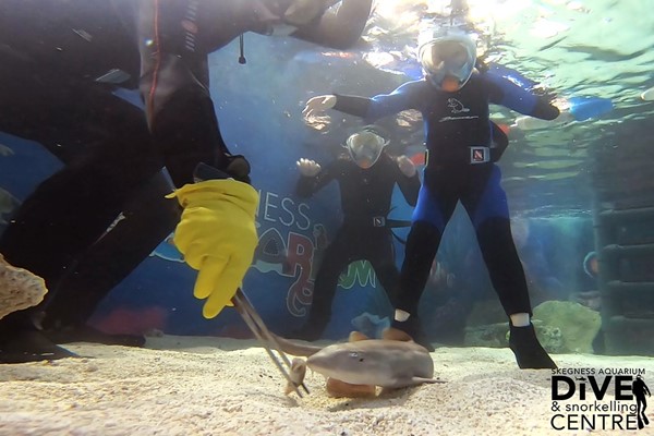 Image of Family Snorkelling and Entry at Skegness Aquarium