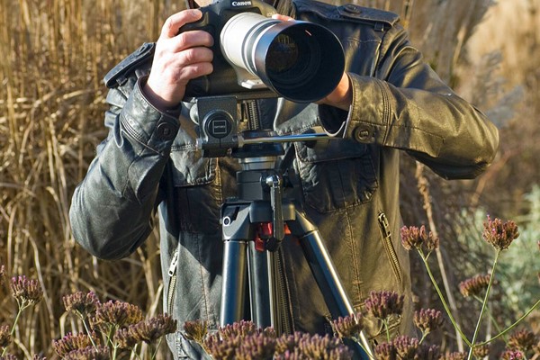 Picture of Online Flower and Plant Photography Course with an Expert for One