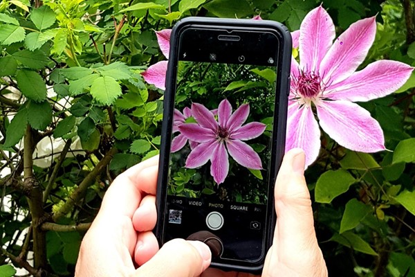 Picture of Smartphone Home Photography Challenge with Simon Warren Photography