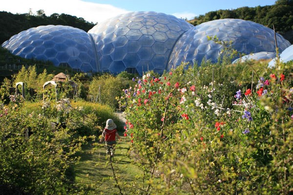 Picture of Chocolate Flavoured Rainforest Private Tour for Two at The Eden Project