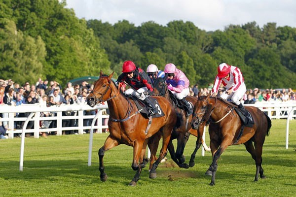 Picture of 2 for 1 Winning Raceday Package – Special Offer