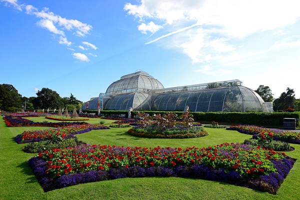 Image of Family Visit to Kew Gardens and Palace for Two Adults and Two Children