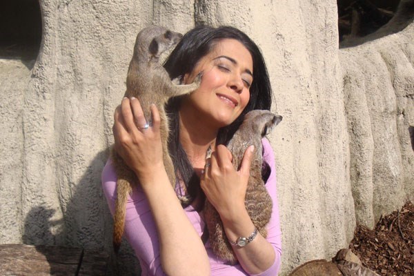 Picture of Meet the Meerkats Experience at Paradise Wildlife Park