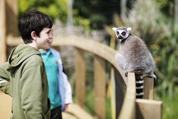 Picture of Entry to ZSL London Zoo for One Adult and One Child