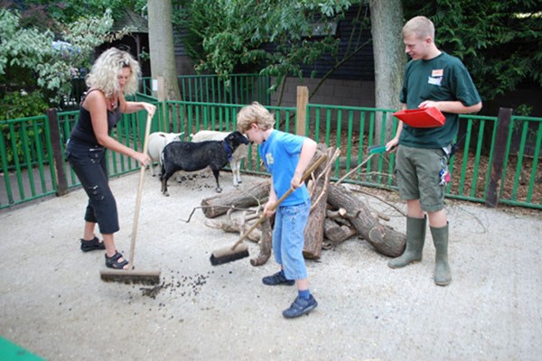 Image of Zookeeper Experience at Paradise Wildlife Park for One Adult and One Child