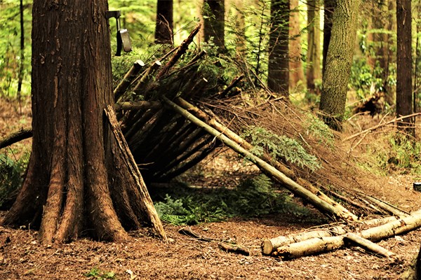 Image of Woodland Survival and Bush Craft Course