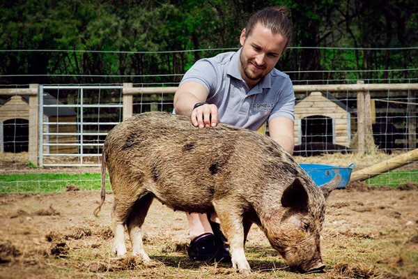 Image of Pig Enthusiast Experience for Two at Kew Little Pigs