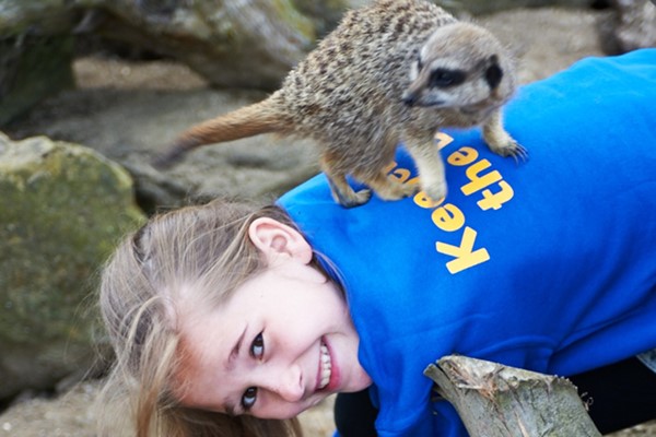 Picture of Zoo Keeper Experience at Drusillas Zoo Park