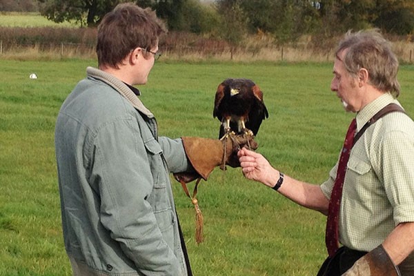 Image of Three Hour Birds of Prey Day for Two