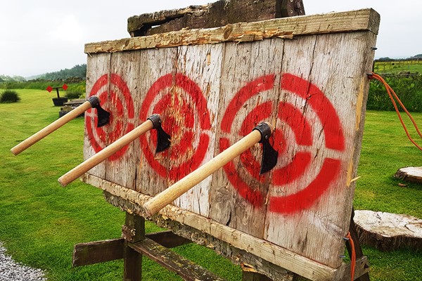 Picture of Axe and Knife Throwing Experience for Two