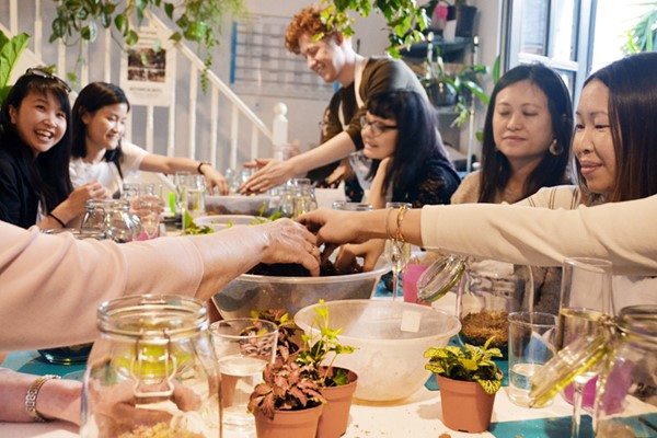 Picture of Terrarium Introduction Workshop 90 minutes