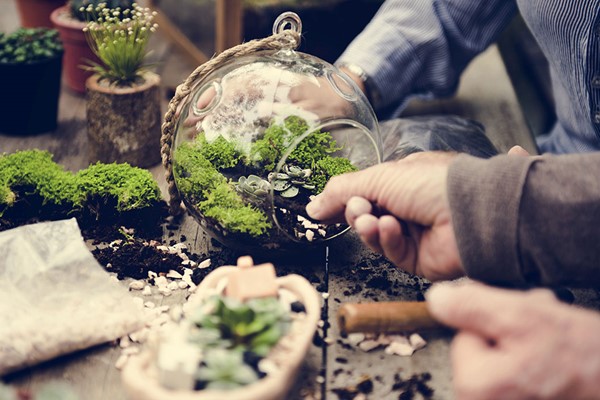 Picture of Terrarium Workshop for Two at Porto's Flowers