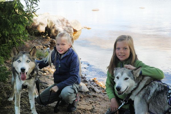 Picture of Husky Dog Sledding Experience for One at Dorchar Aile