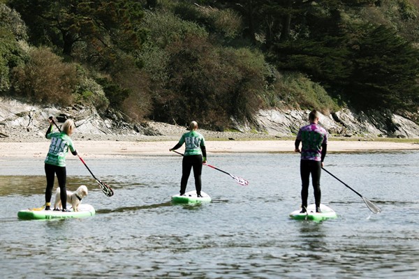 Image of Surf or Stand Up Paddle Boarding for One at Big Green Surf School