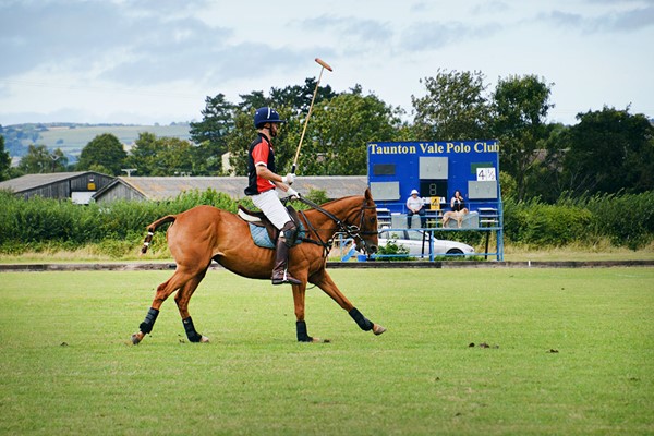 Picture of Polo Day Out with Lunch for One at Taunton Vale Polo Club