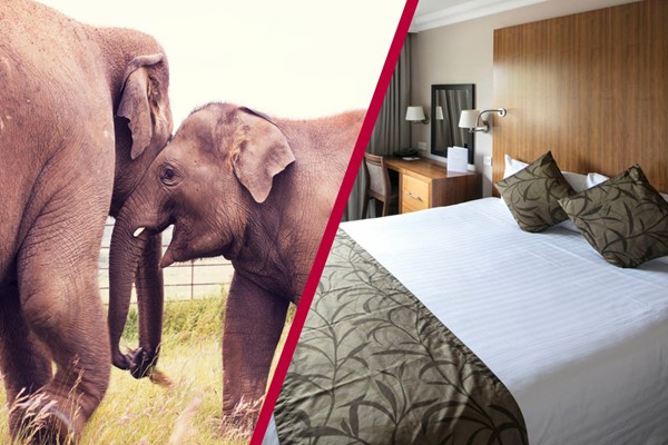 Picture of Adult Entry to Whipsnade Zoo with Overnight Stay at Aubrey Park Hotel