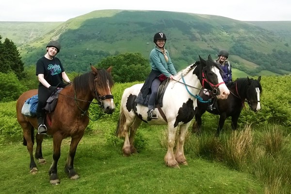Image of One Hour Horse Riding Experience for Two at Grange Trekking