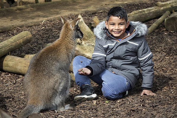 Picture of Outback Experience for Two at Ventura Wildlife Park