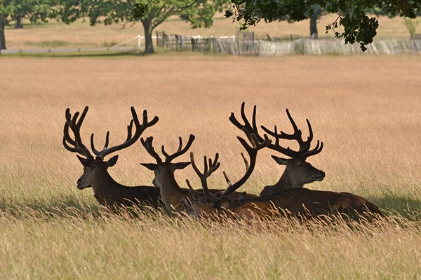 Picture of Full Day Landscape Photography Course for One