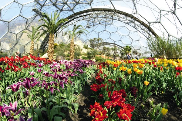 Image of Adult Entrance to The Eden Project