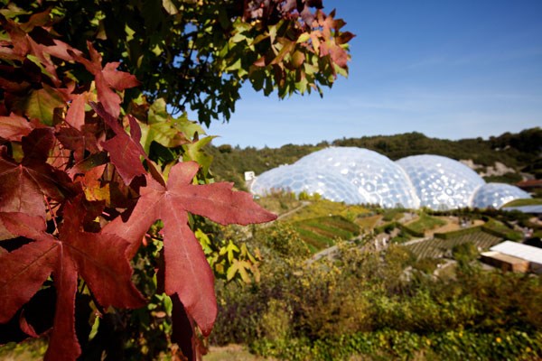 Picture of Adult Entrance for Two to The Eden Project