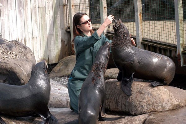 Picture of Zookeeper for a Day at Bristol Zoo with Entry for Two, Lunch and Souvenir