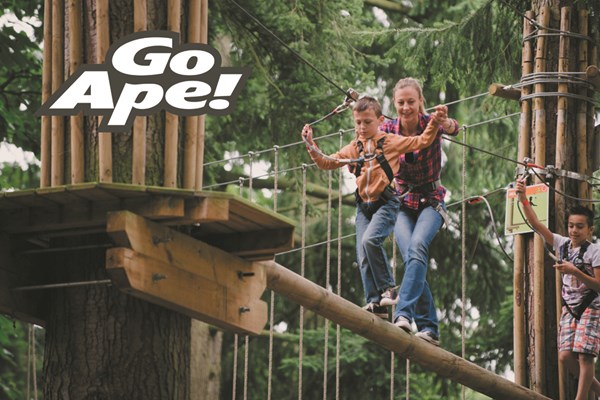 Picture of Tree Top Adventure for One Adult and One Child at Go Ape