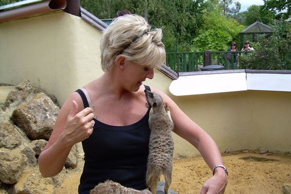 Picture of Meet the Meerkats for Two at Paradise Wildlife Park