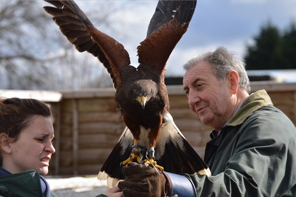Image of Keeper for a Day for Two at Willows Bird of Prey Centre